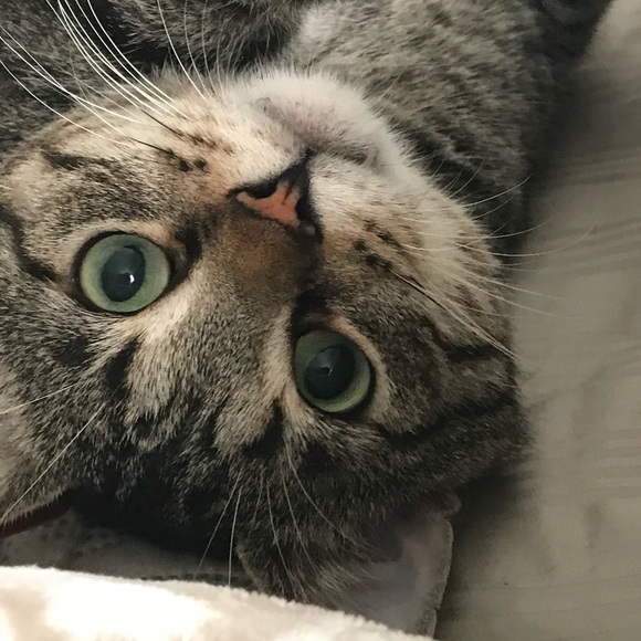 Meet your Posher, Kim - Picture 2 of 16